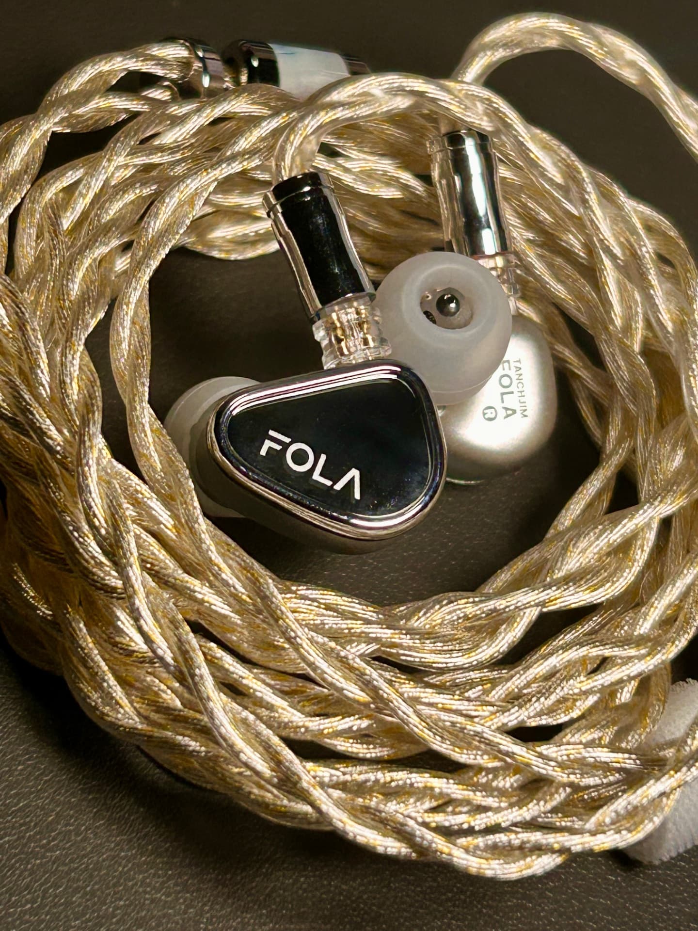 TANCHJIM FOLA × GVS33