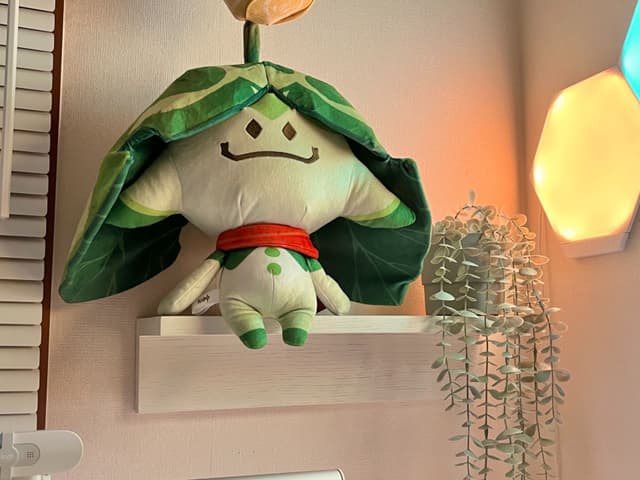 壁に付けられる家具棚