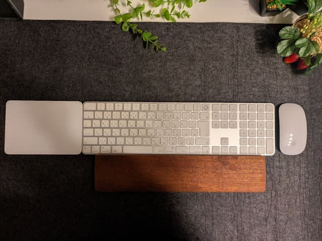 Apple Magic TrackPad USB-C