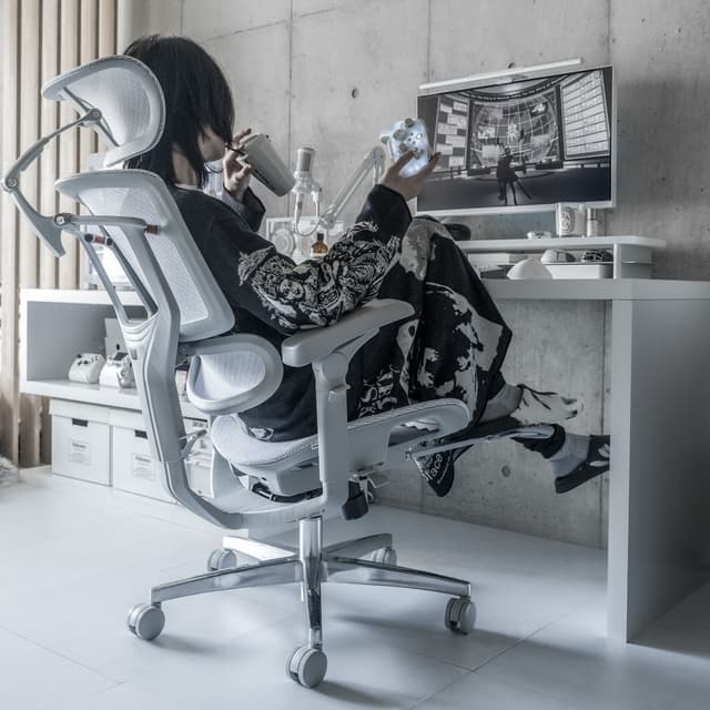 チェア Flexispot C7 Pro2